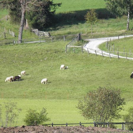 Ulnhof Lägenhet Mariapfarr Exteriör bild