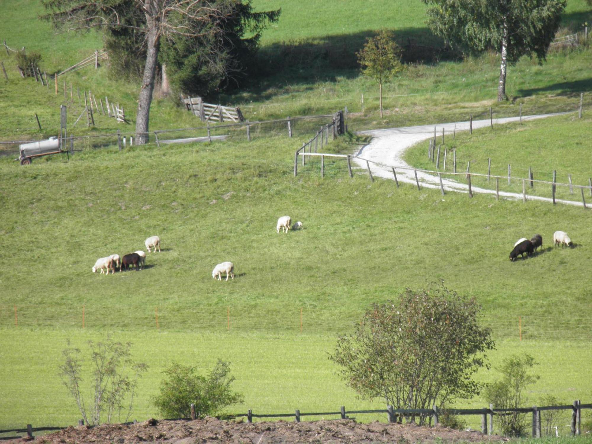 Ulnhof Lägenhet Mariapfarr Exteriör bild